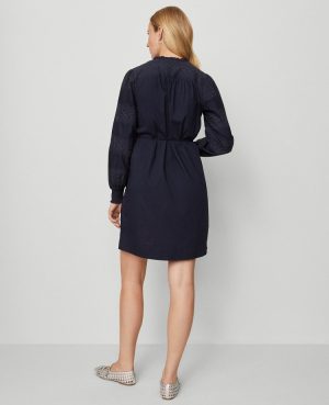 Petite Weekend Collection Ruffle Collar Belted Shift Dress