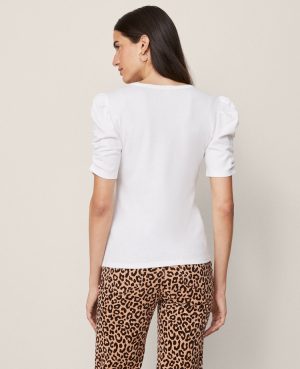 Weekend Collection Shirred Sleeve Top