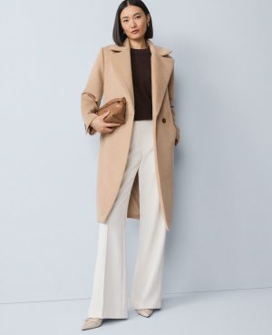The Petite Perfect Flare Pant