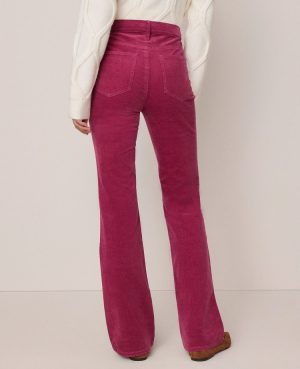 Weekend Collection Boot Corduroy Pant